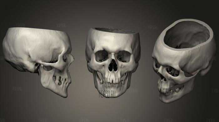 Skull Male 50yo stl model for CNC